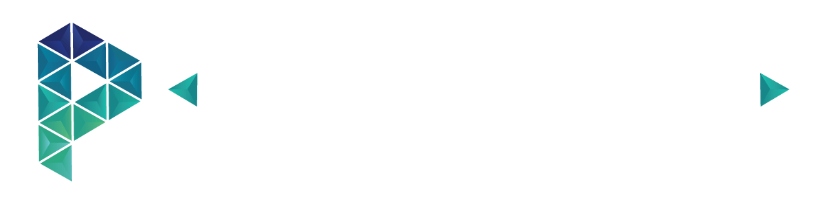 Platynum Business Solutions